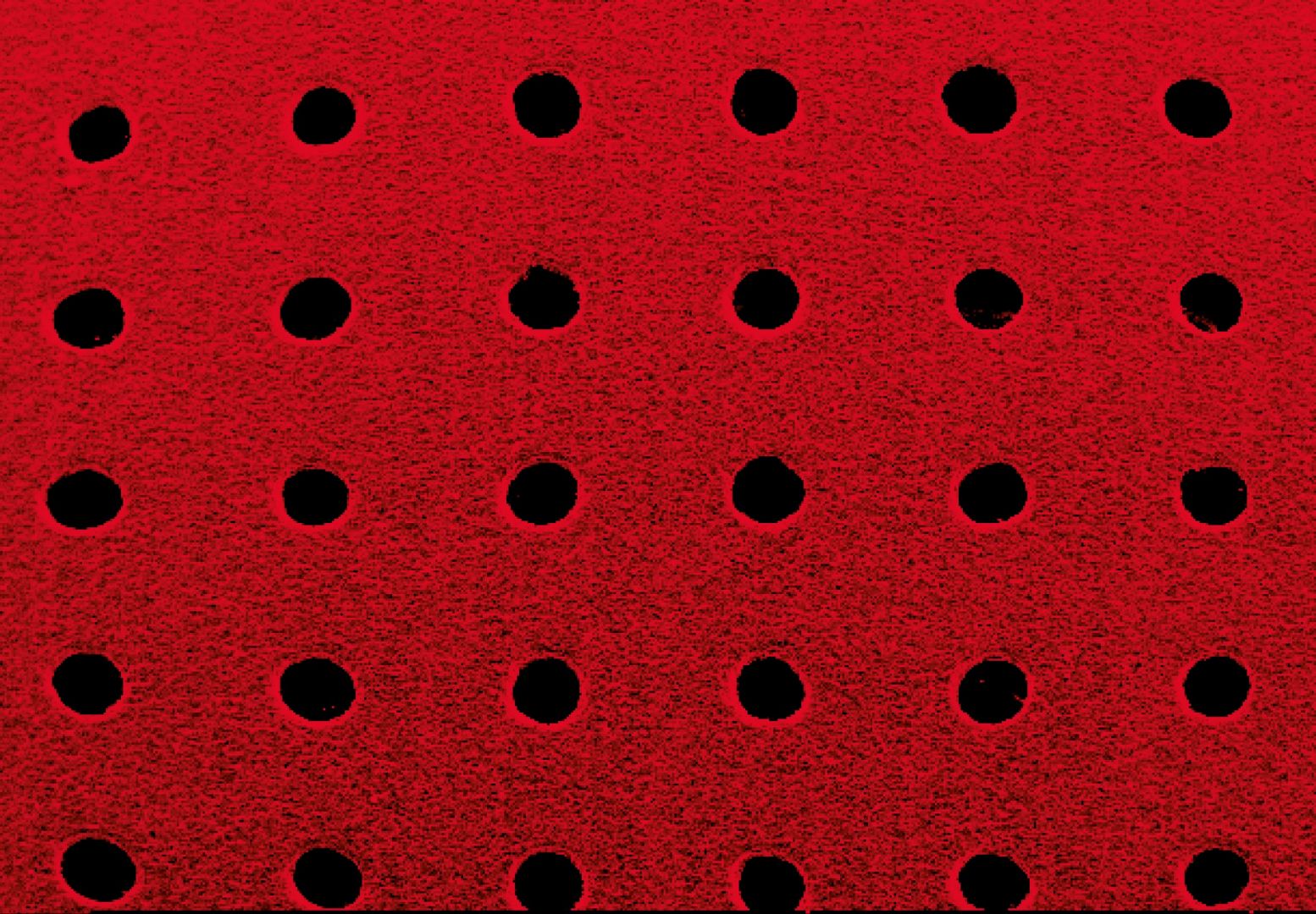 MEV_2C1