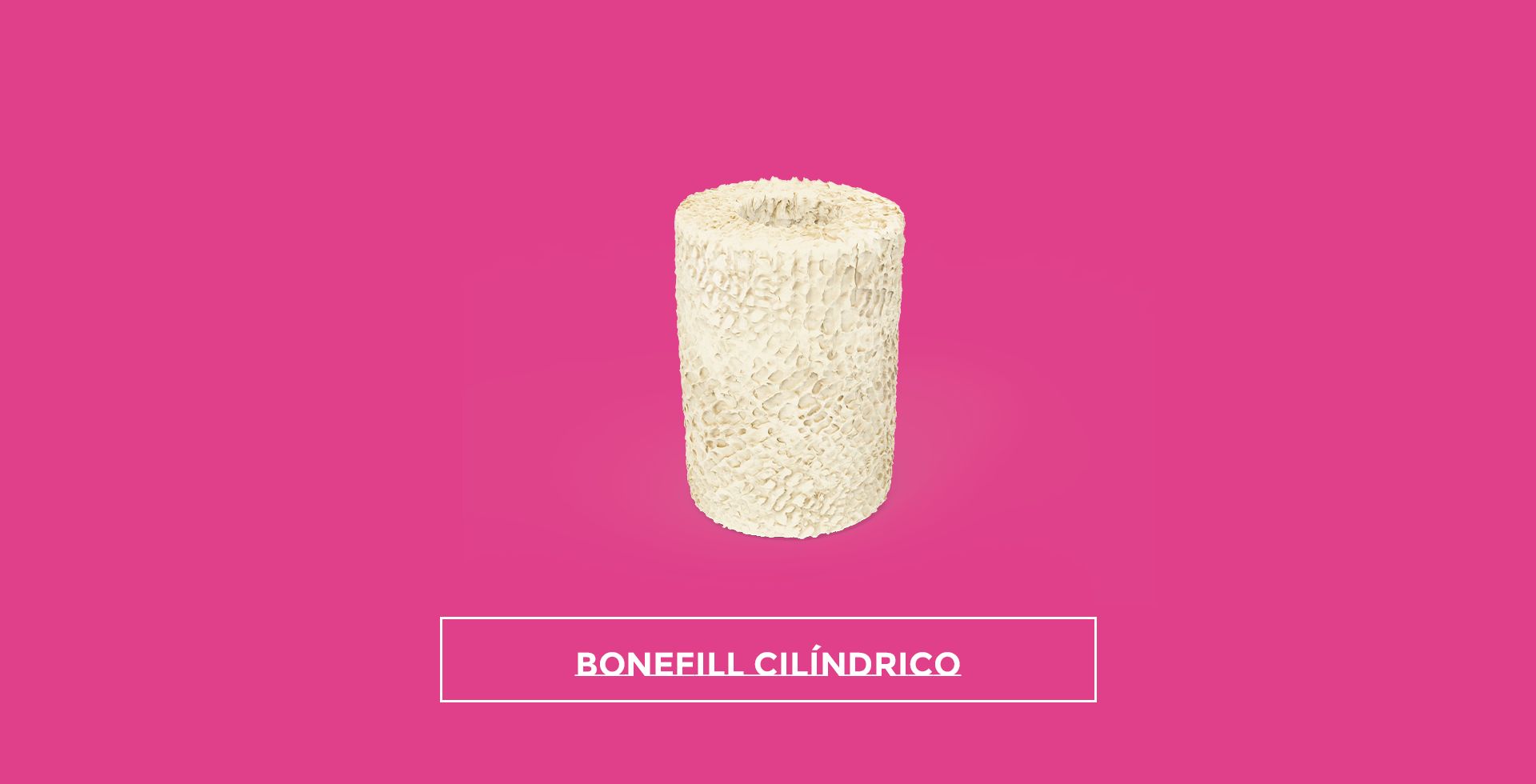 bonefill cilindrico 1