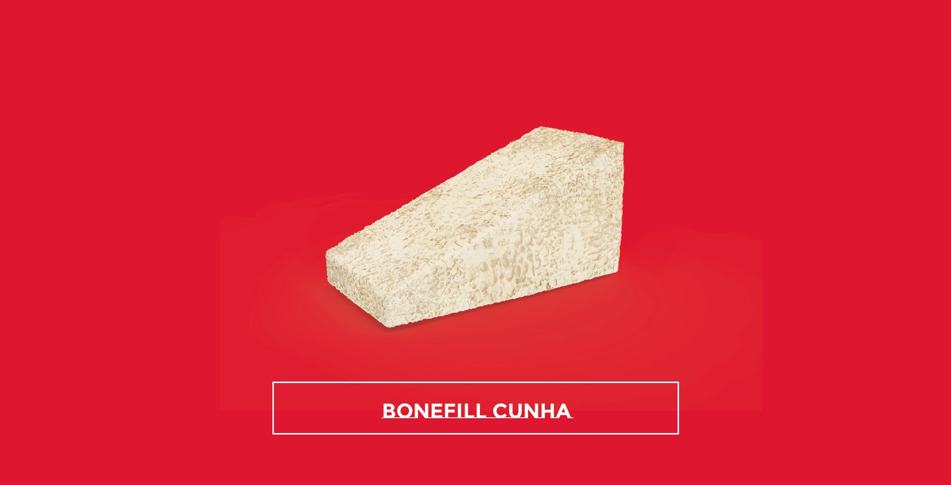 COPIA - Bionnovation Biomedical 2023-2 29 bonefill cunha