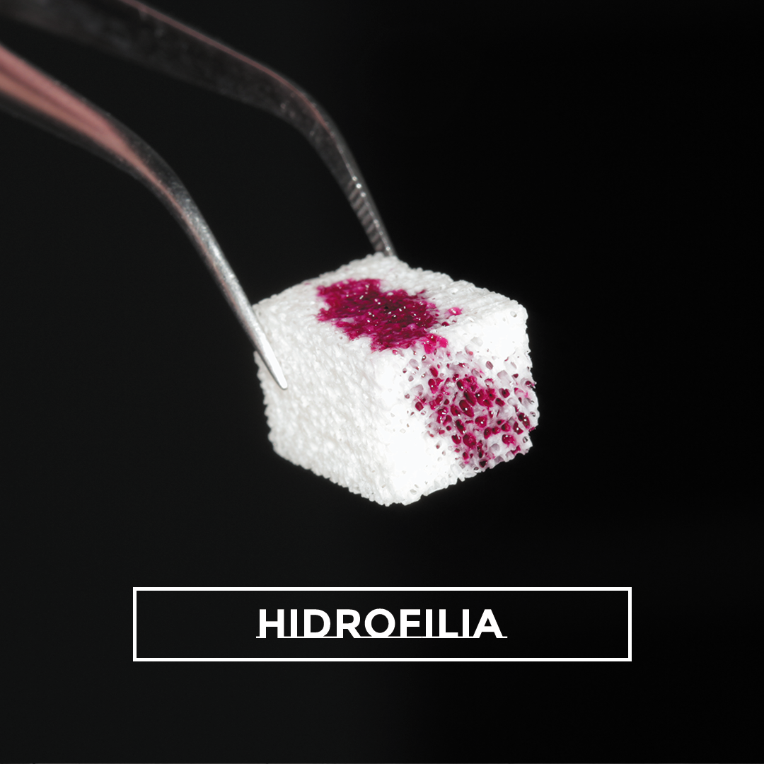 COPIA - Bionnovation Biomedical 2023-2 1 hidrofilia bonefill