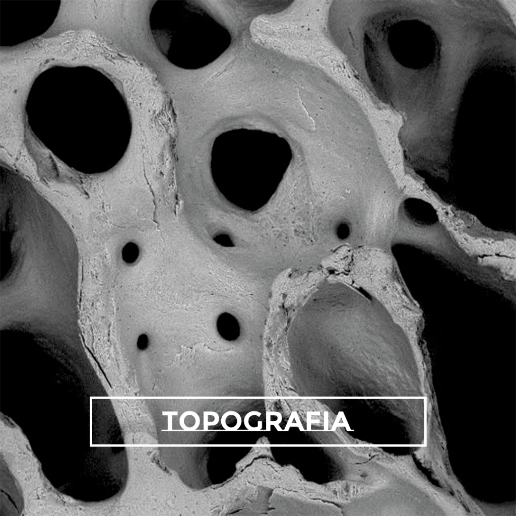 COPIA - Bionnovation Biomedical 2023-2 2 topografia bonefill